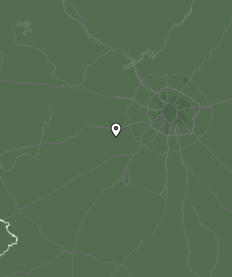 Niederschlagsprognose