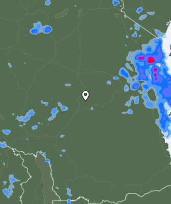 Niederschlagsprognose