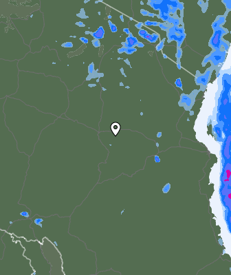 Niederschlagsprognose