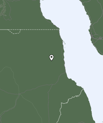 Niederschlagsprognose