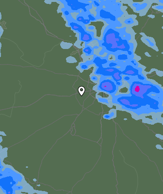 Валежи