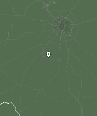 Niederschlagsprognose