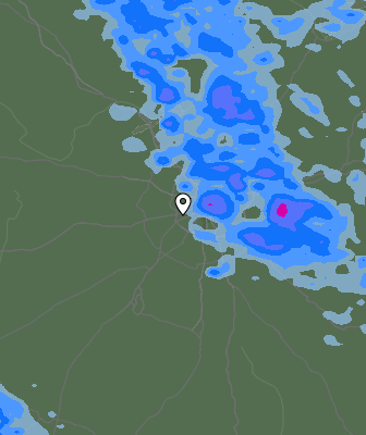 Валежи