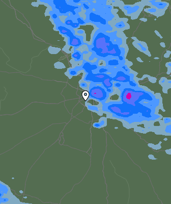Валежи