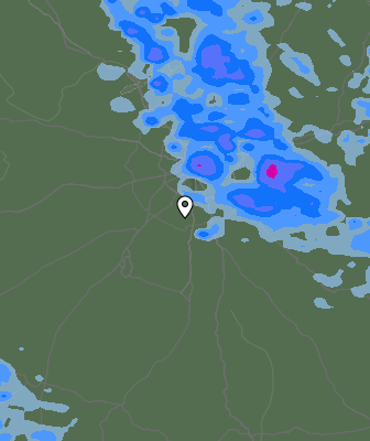 Валежи