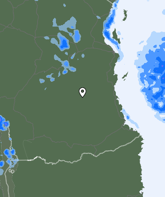 Niederschlagsprognose