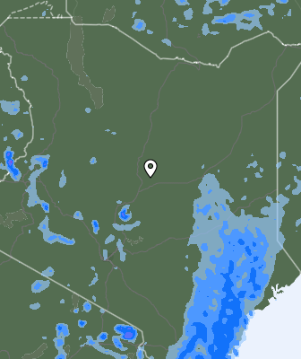 Niederschlagsprognose