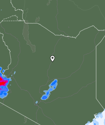 Niederschlagsprognose