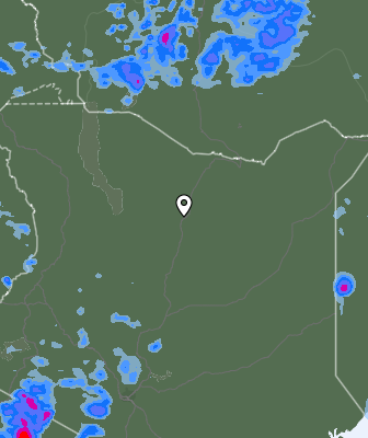 Niederschlagsprognose