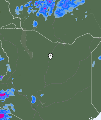 Niederschlagsprognose