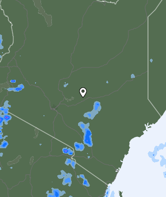 Niederschlagsprognose