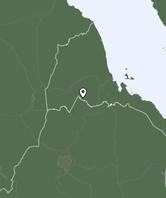 Niederschlagsprognose