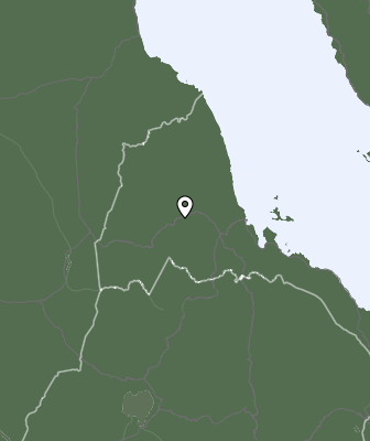 Niederschlagsprognose