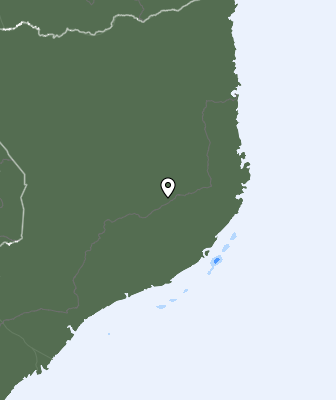 Niederschlagsprognose