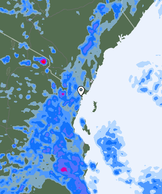 Precipitazioni