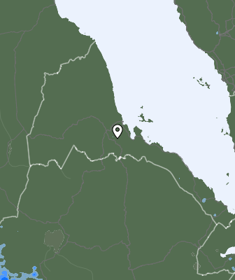 Niederschlagsprognose