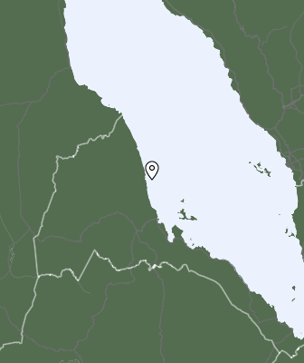 Neerslag
