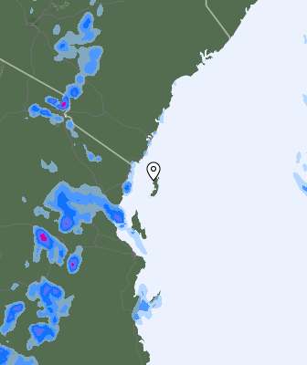 Niederschlagsprognose