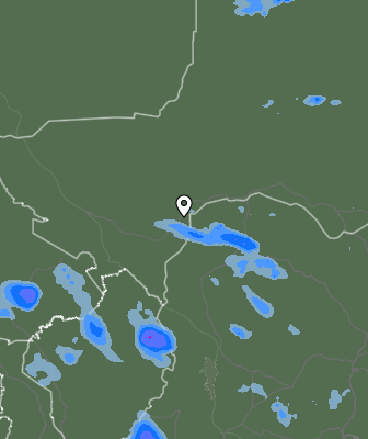 Валежи