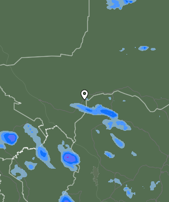 Валежи