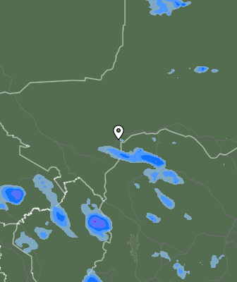 Валежи