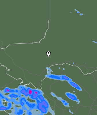 Валежи