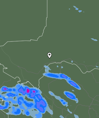 Валежи