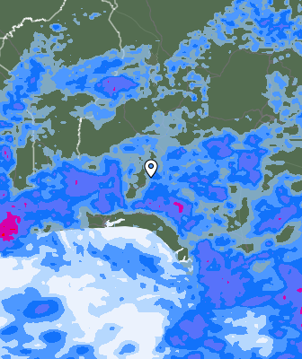 Niederschlagsprognose