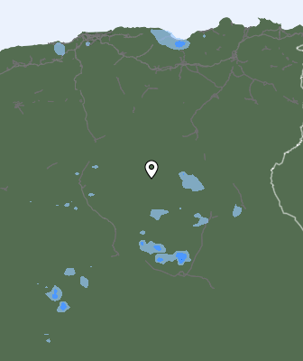 Валежи