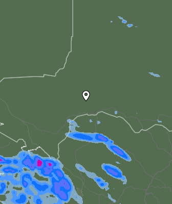 Валежи