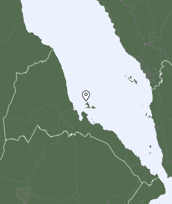 Neerslag
