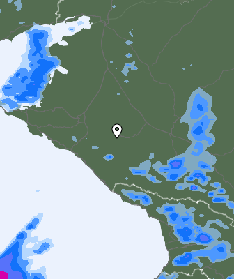 Niederschlagsprognose