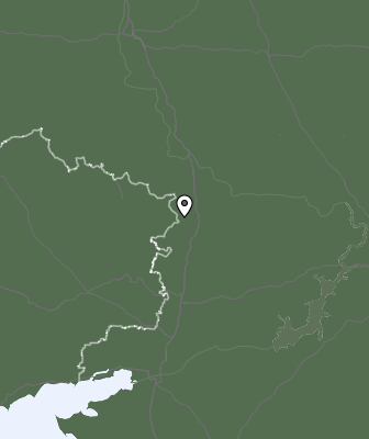 Niederschlagsprognose