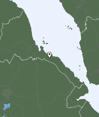 Niederschlagsprognose