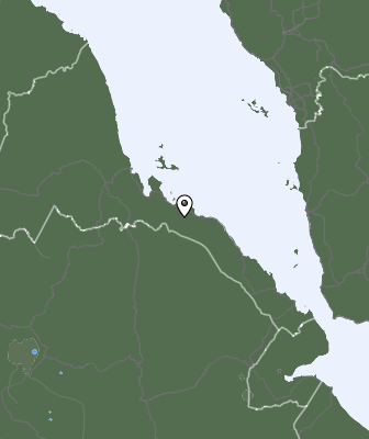 Neerslag