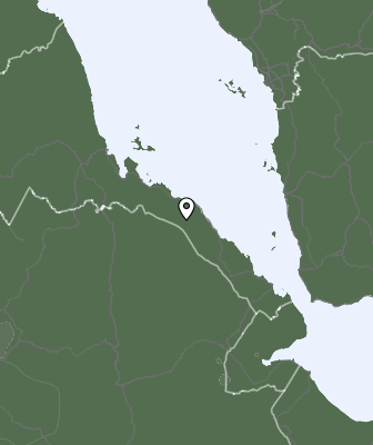 Niederschlagsprognose
