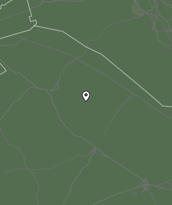 Валежи