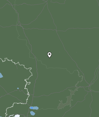 Niederschlagsprognose