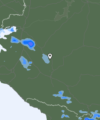 Niederschlagsprognose
