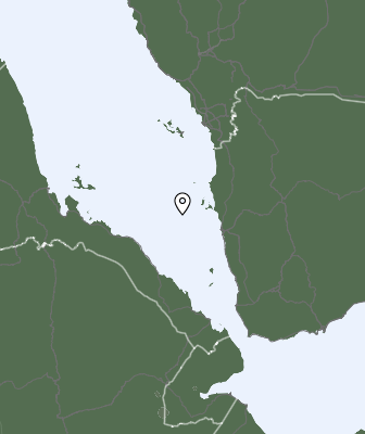 Neerslag