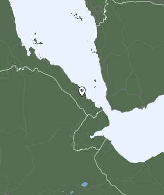 Niederschlagsprognose