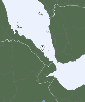 Niederschlagsprognose