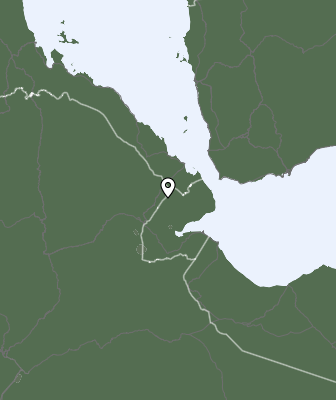 Niederschlagsprognose