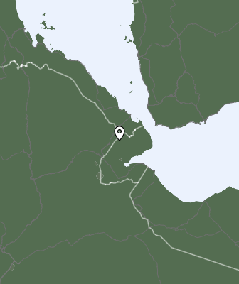 Niederschlagsprognose