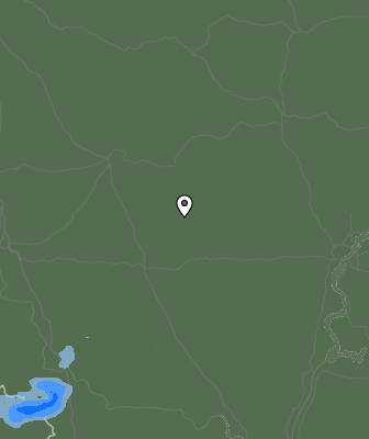 Niederschlagsprognose