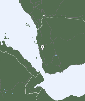 Валежи