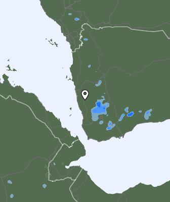 Валежи