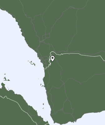 Niederschlagsprognose