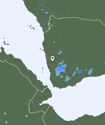 Валежи