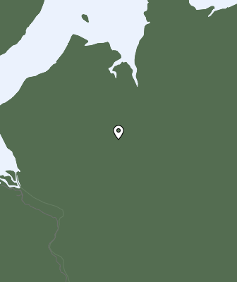 Neerslag